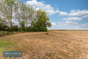 Field- click for photo gallery